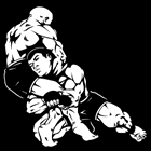 Jiu Jitsu em Pedreira