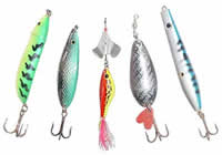 Lojas de Pesca em Pedreira