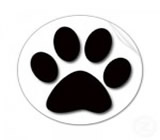 Pet Shops em Pedreira